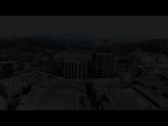 हाथ से चित्रित तेल चित्रकला